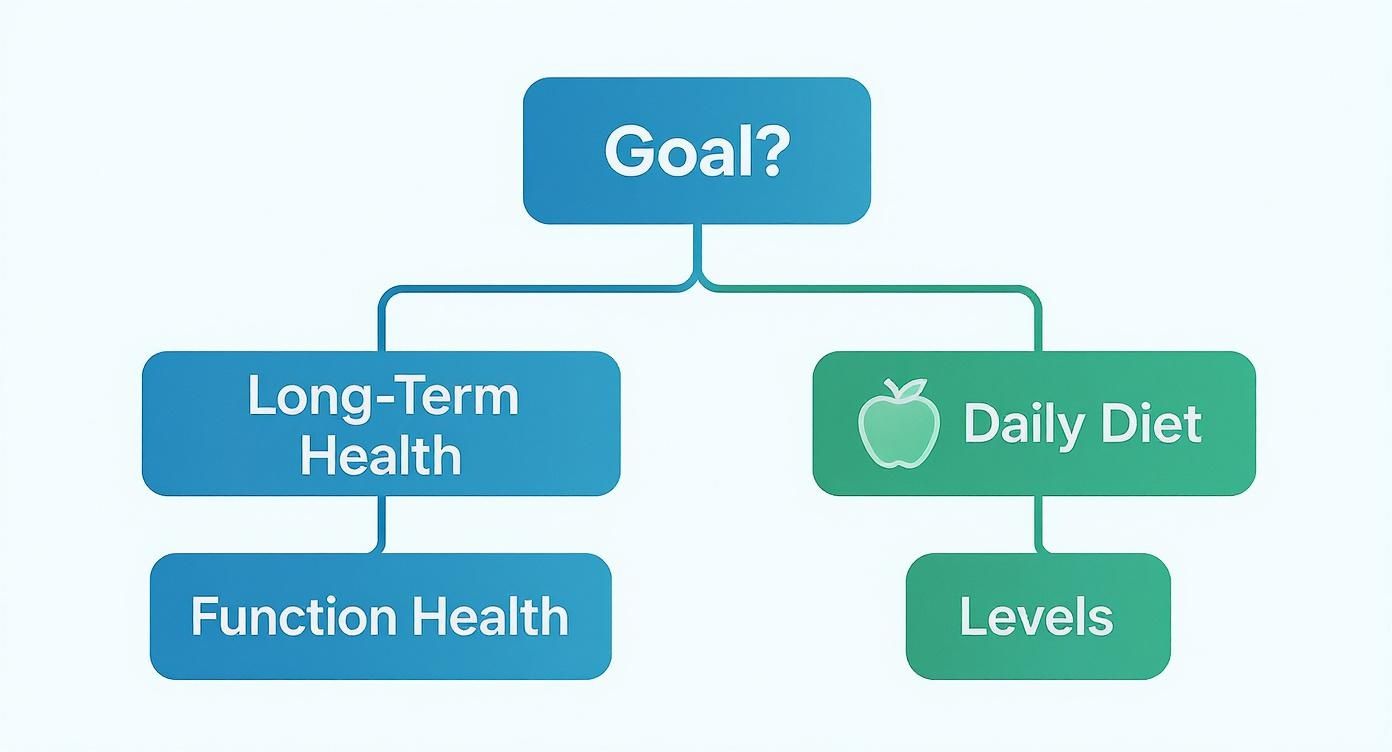 Infographic showing a decision tree for choosing between Function Health and Levels based on health goals.