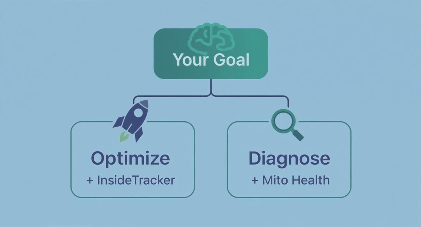 An infographic decision tree showing two paths based on health goals: The path for optimizing performance leads to InsideTracker, and the path for diagnosing long-term health risks leads to Mito Health.