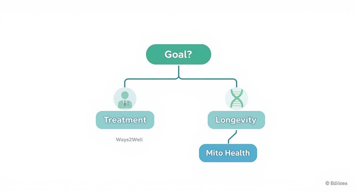 Infographic about ways2well vs mito health