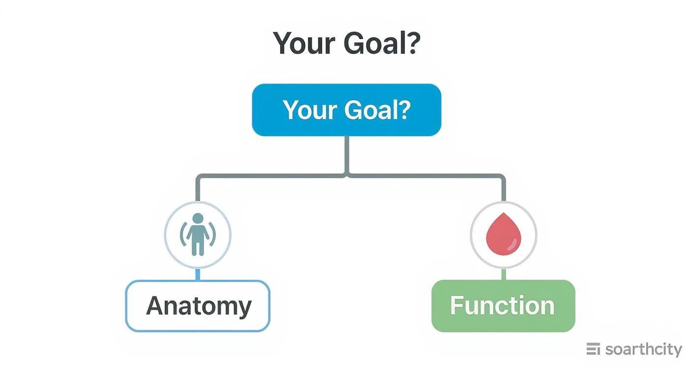 Infographic decision tree comparing Prenuvo's focus on anatomy versus Mito Health's focus on function.