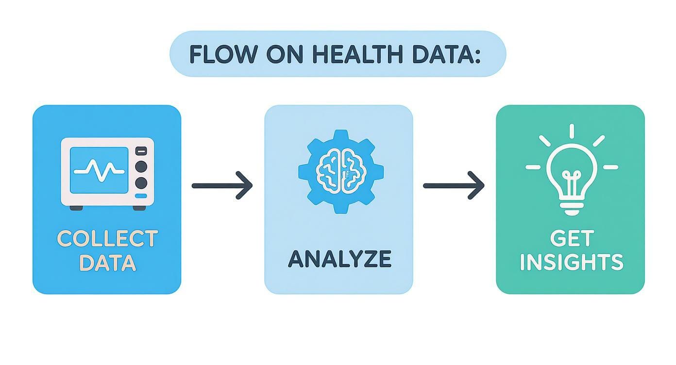Infographic showing a three-step process: Collect Data, Analyze, and Get Insights.