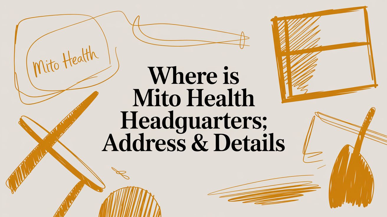 Where is Mito Health's Headquarters? A Guide to Their Corporate Location
