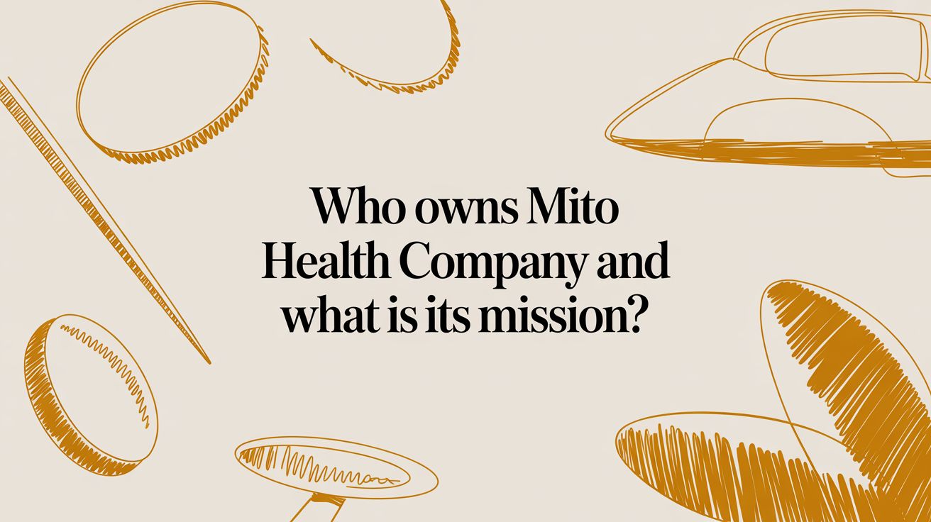 Who Owns Mito Health Company and What Is Its Mission?