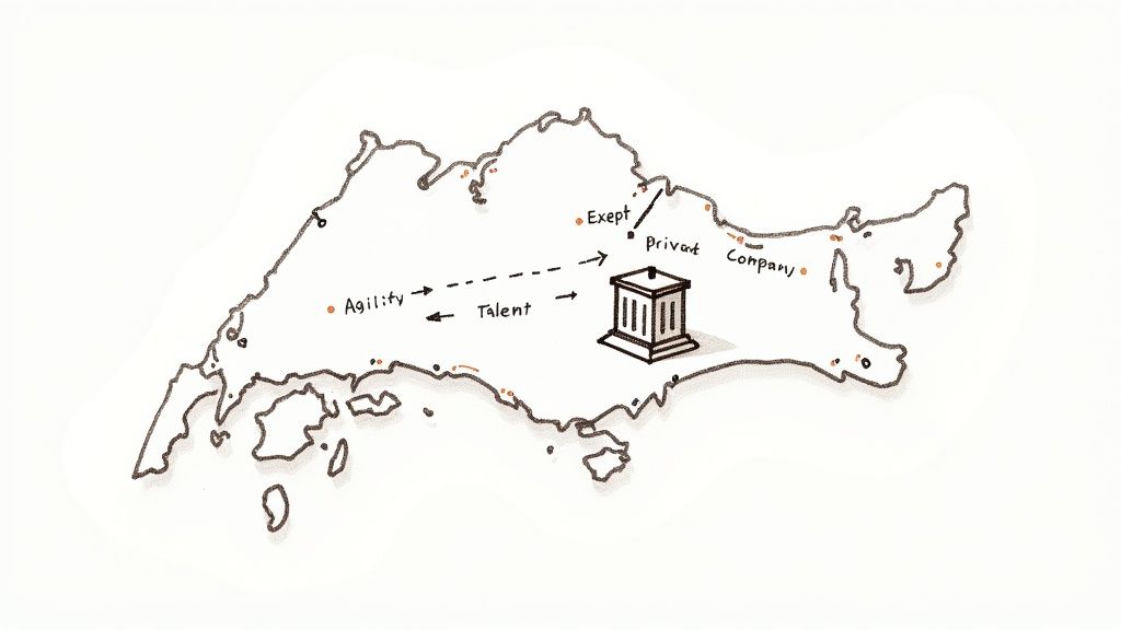 Illustration of a map depicting business concepts like agility, talent, and private company interactions.