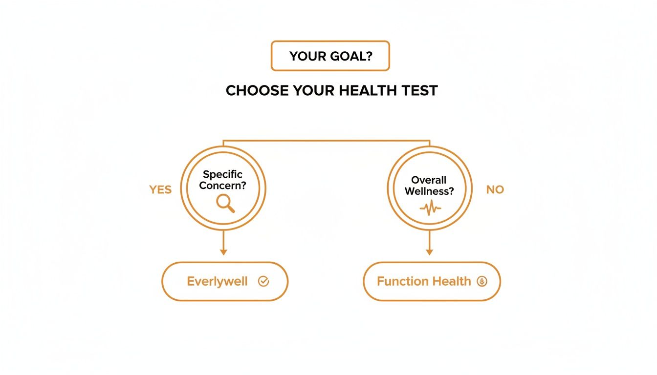 Flowchart guiding health test selection: specific concern (Everlywell) or overall wellness (Function Health).