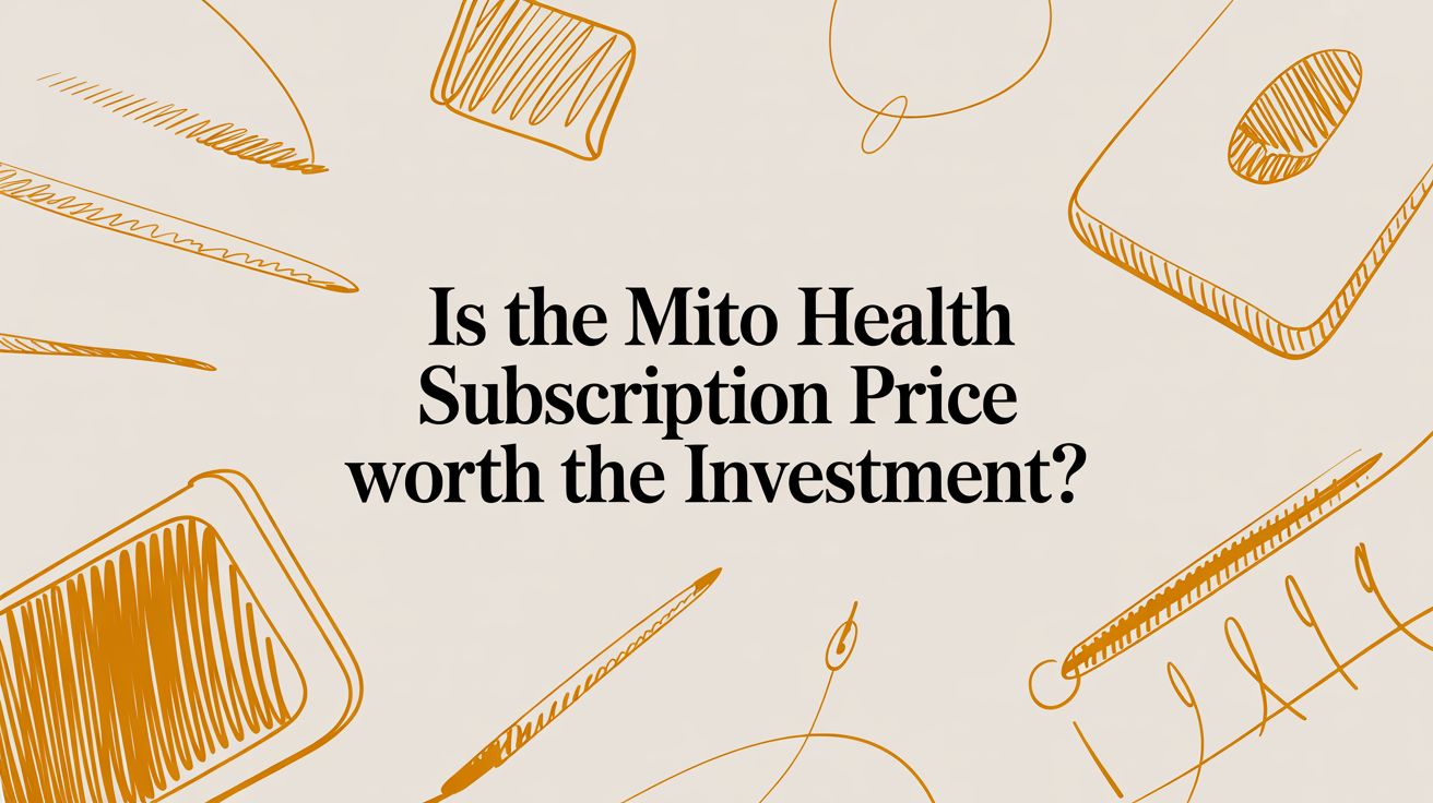 Is the Mito Health Subscription Price Worth the Investment? A Factual Guide