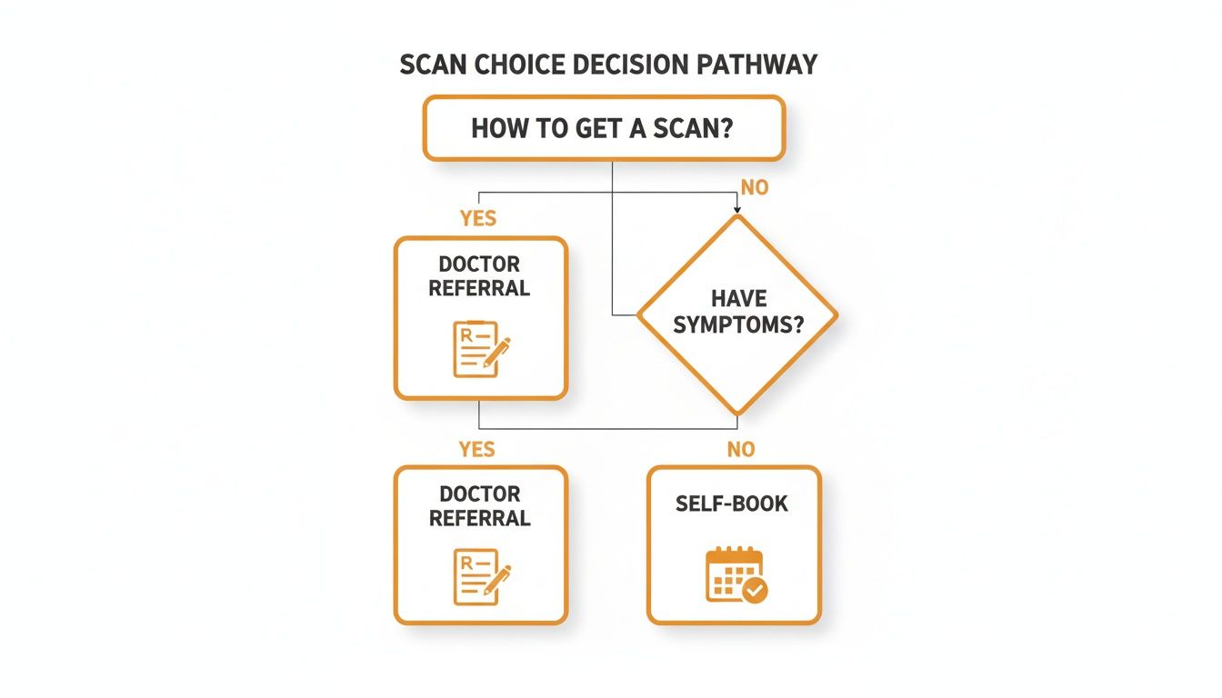 Flowchart illustrating the decision pathway to obtain a medical scan based on referrals or symptoms.