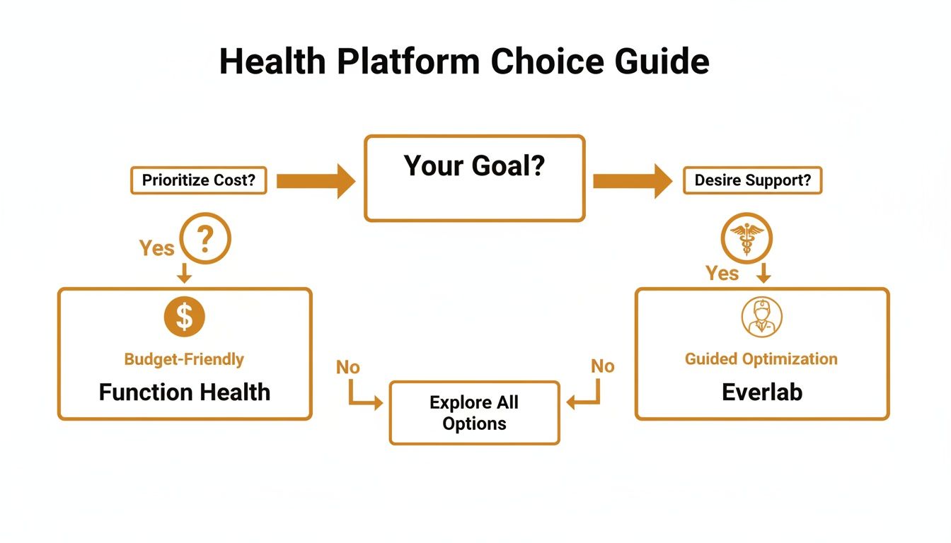 A flowchart helps users choose between Function Health (budget-friendly) and Everlab (guided optimization) based on cost and support.