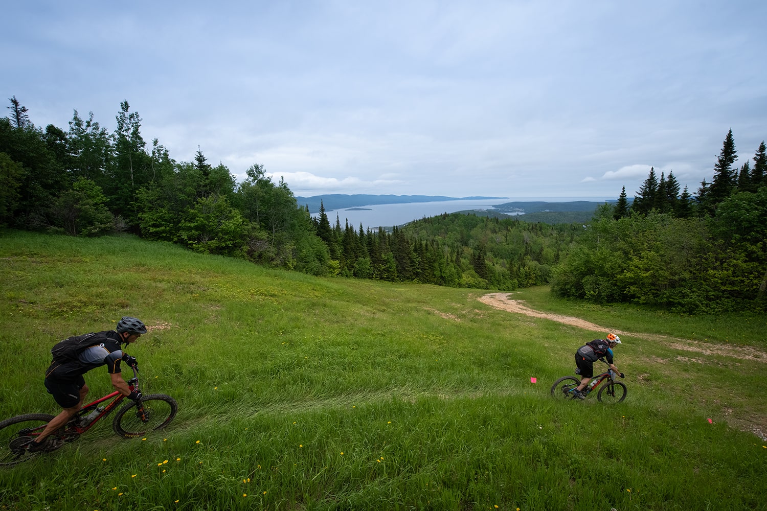 Vélo de montagne