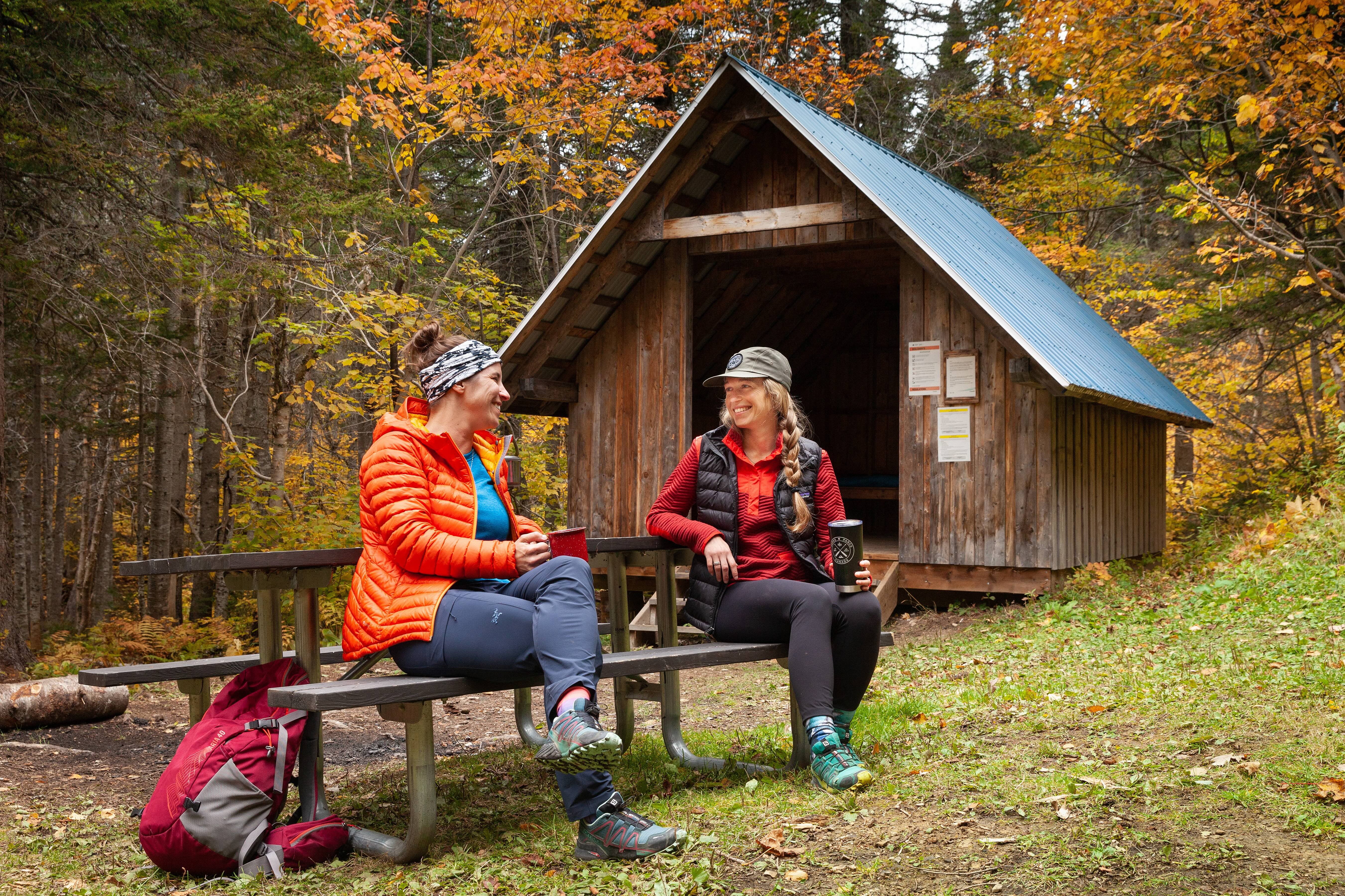 Les randonnées en forêt