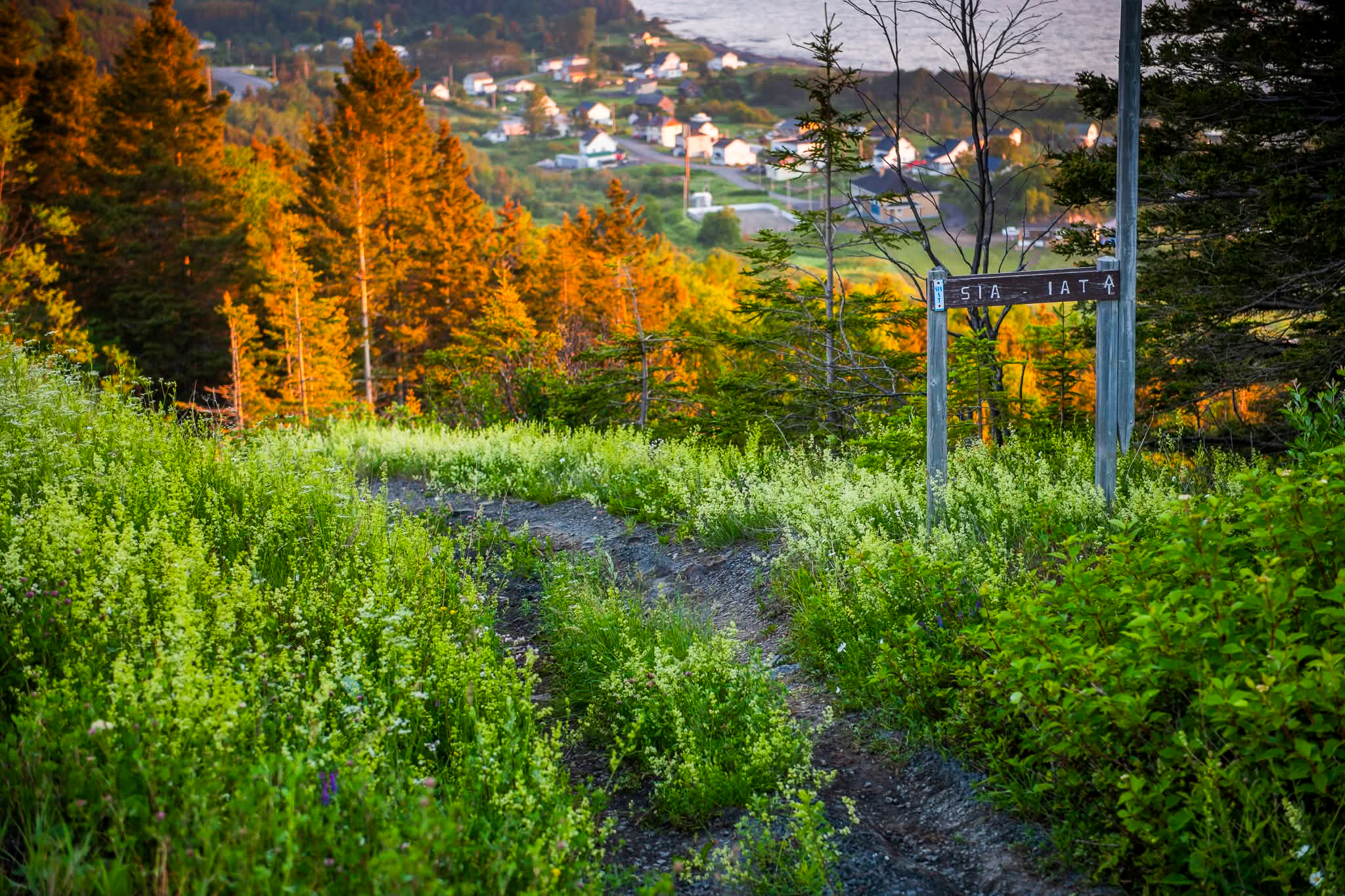 Sentier International des Appalaches à Gaspé : marcher au bout du monde
