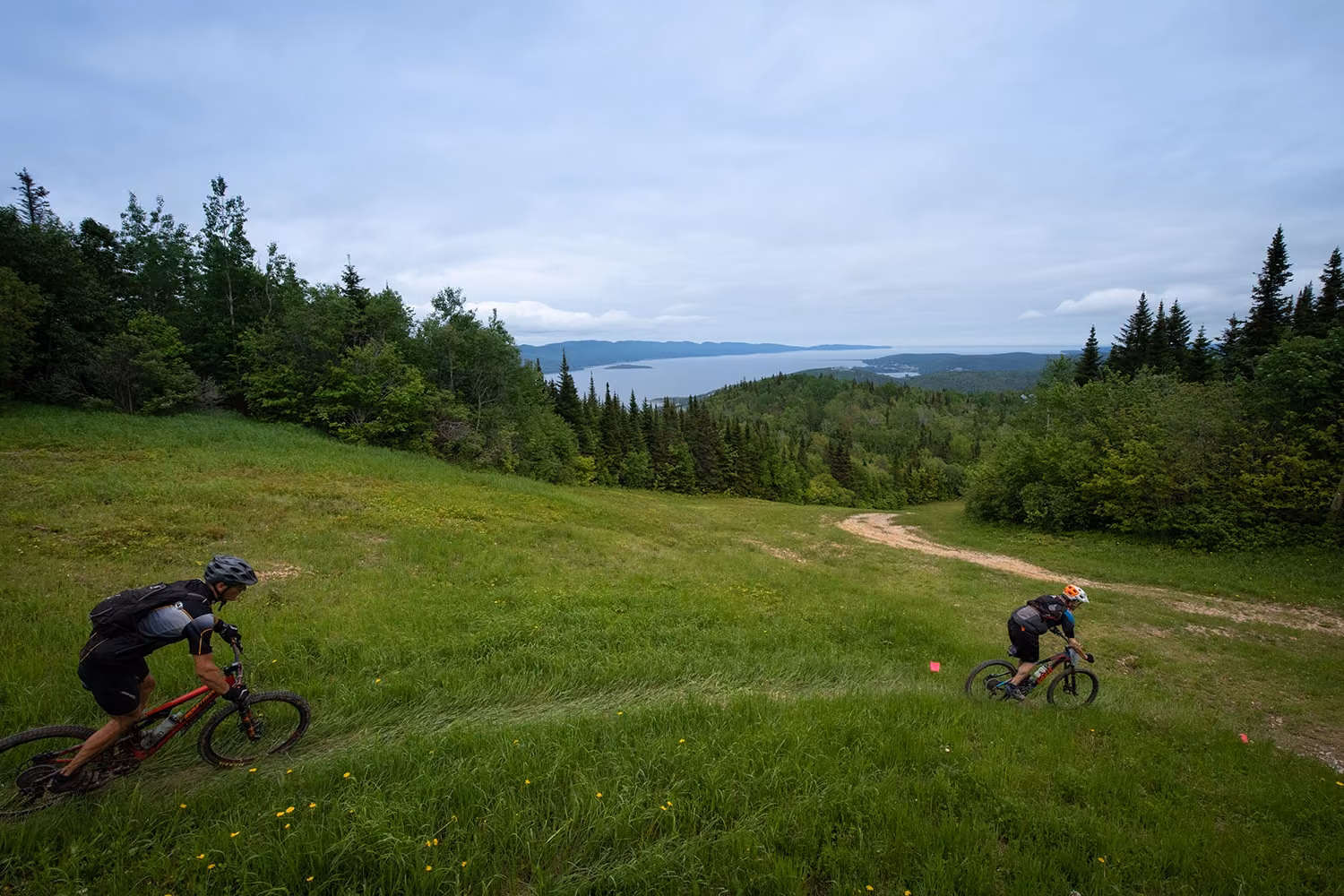 Vélo de montagne
