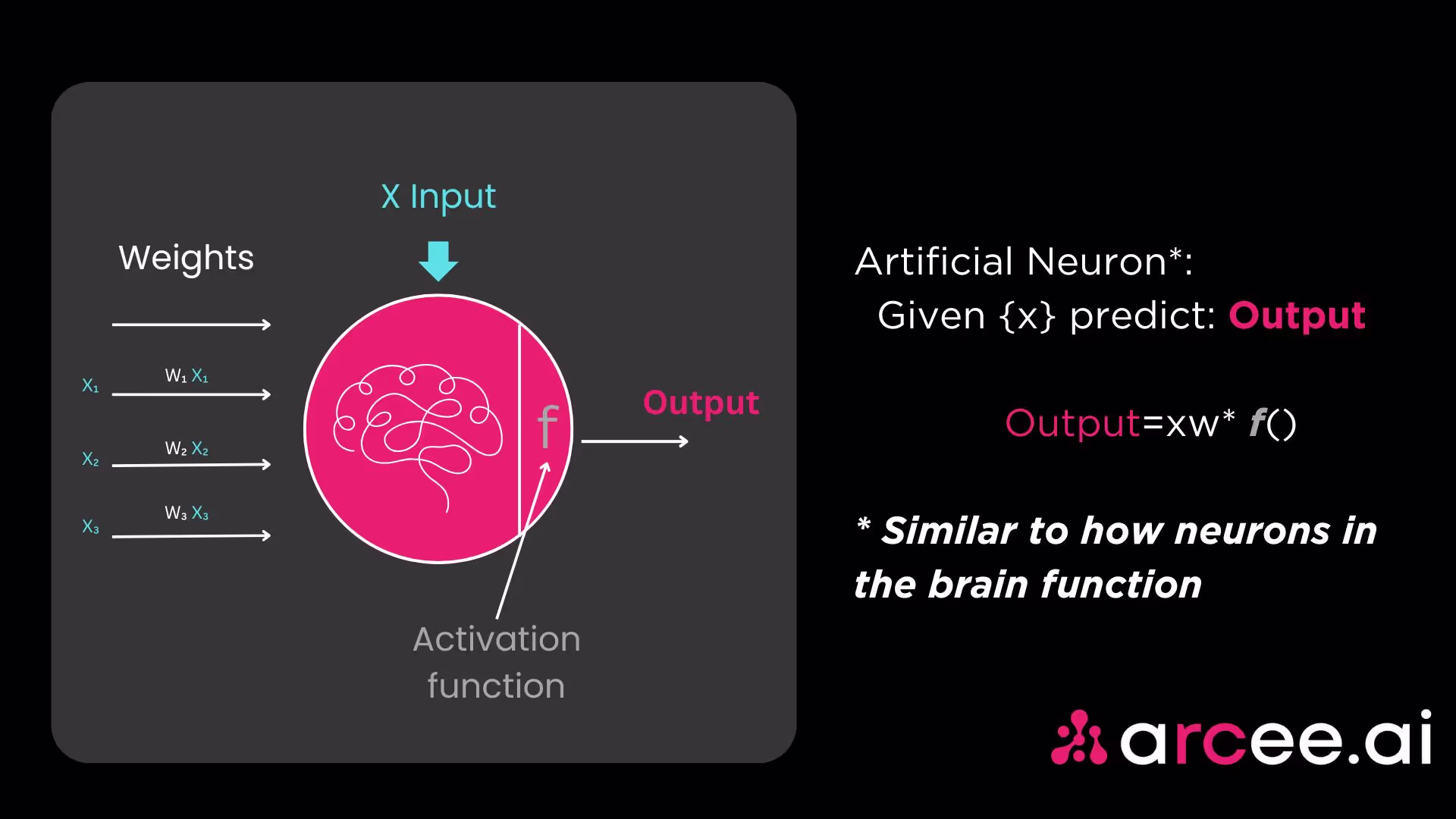 Neuron