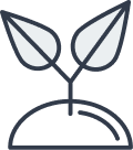 Graphic of two small leaves sprouting from a half-circle mound, symbolizing growth or new beginning.