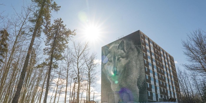 Get the facts from the locals on neat things to see and experience in Thompson