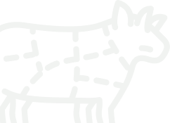 Cow Shape Image