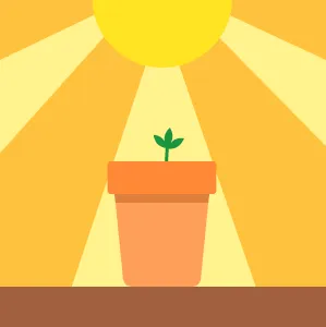 A sprout growing from a plant pot under the sun