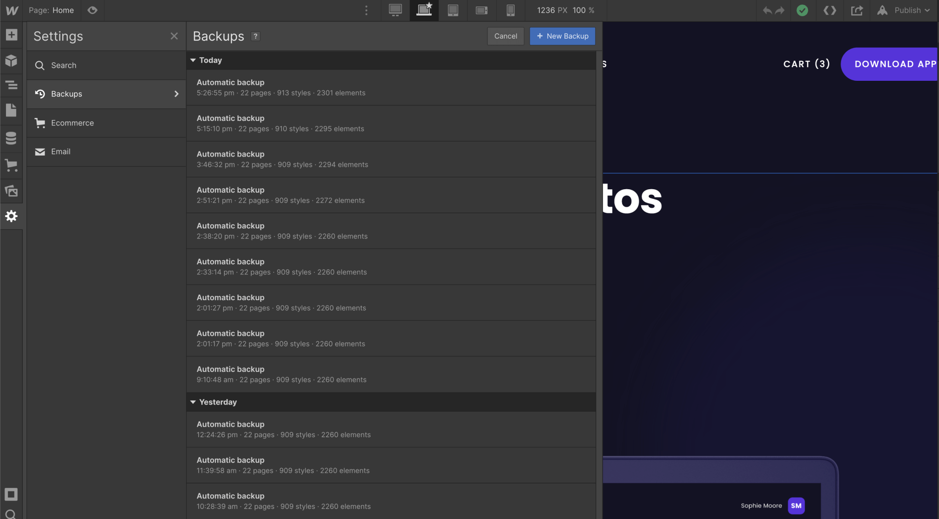 Backups - Crypto Webflow Template