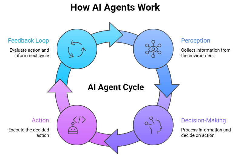 Diagram showing how AI agents work through a four-stage  continuous loop: Perception (collect information from the  environment), Decision-Making (process information and decide  on action), Action (execute the decided action), and Feedback  Loop (evaluate action and inform next cycle).