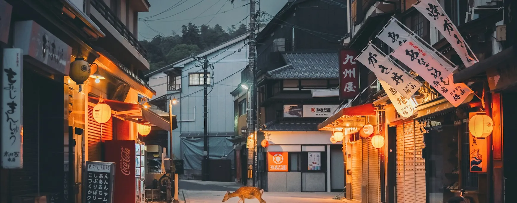 Quiet street in Japan with traditional lanterns and a dog walking.