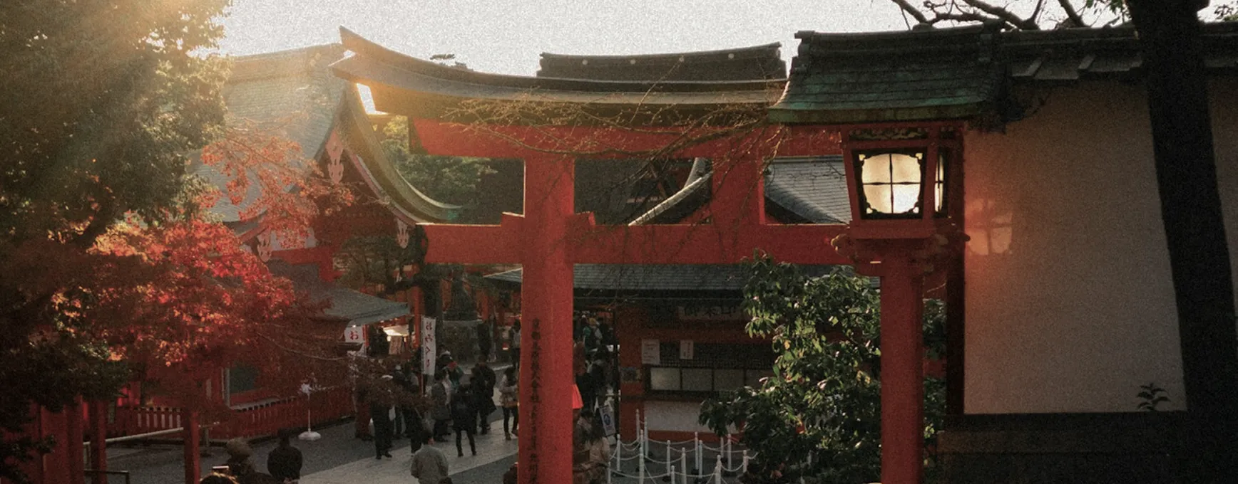 Red Torii gates in the sunlight with visitors walking through.