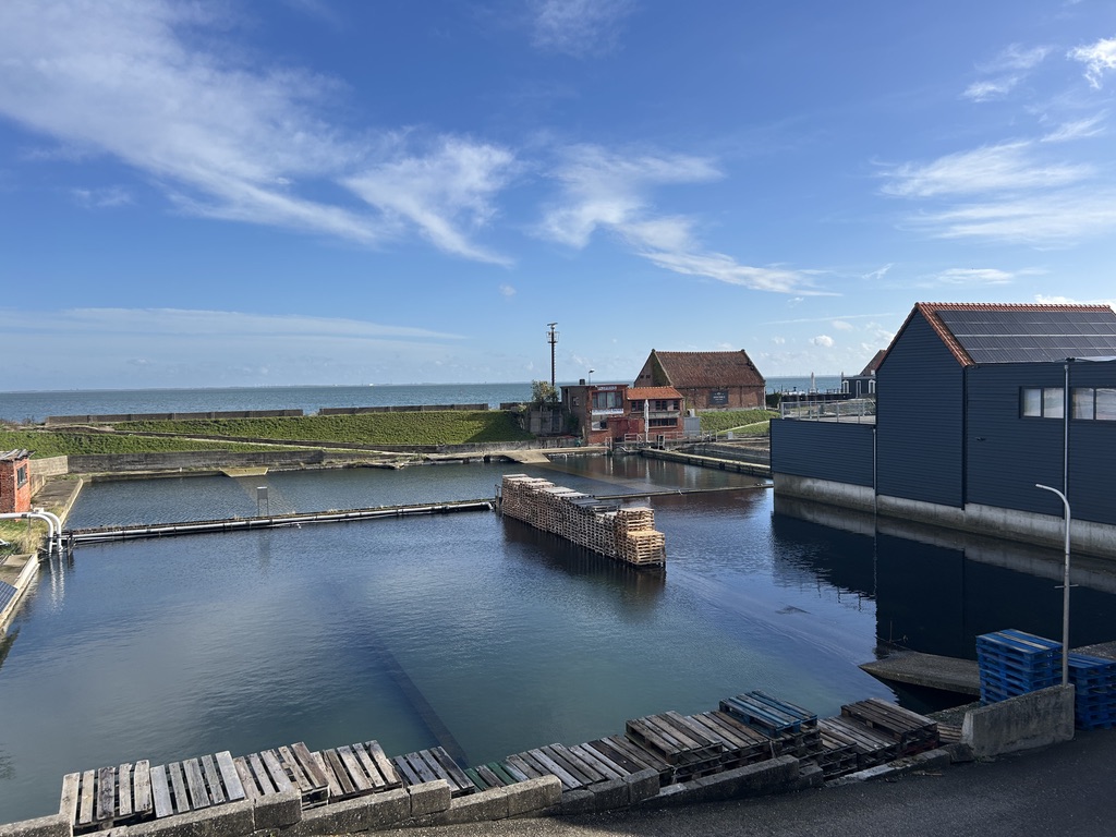 Oyster beds and buildings at the Oesterij oyster farm in Yerseke, Netherlands.