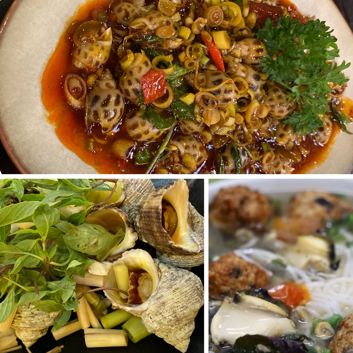Vietnamese ốc dishes including stir-fried snails, fresh sea snails with herbs, and snail noodle soup.