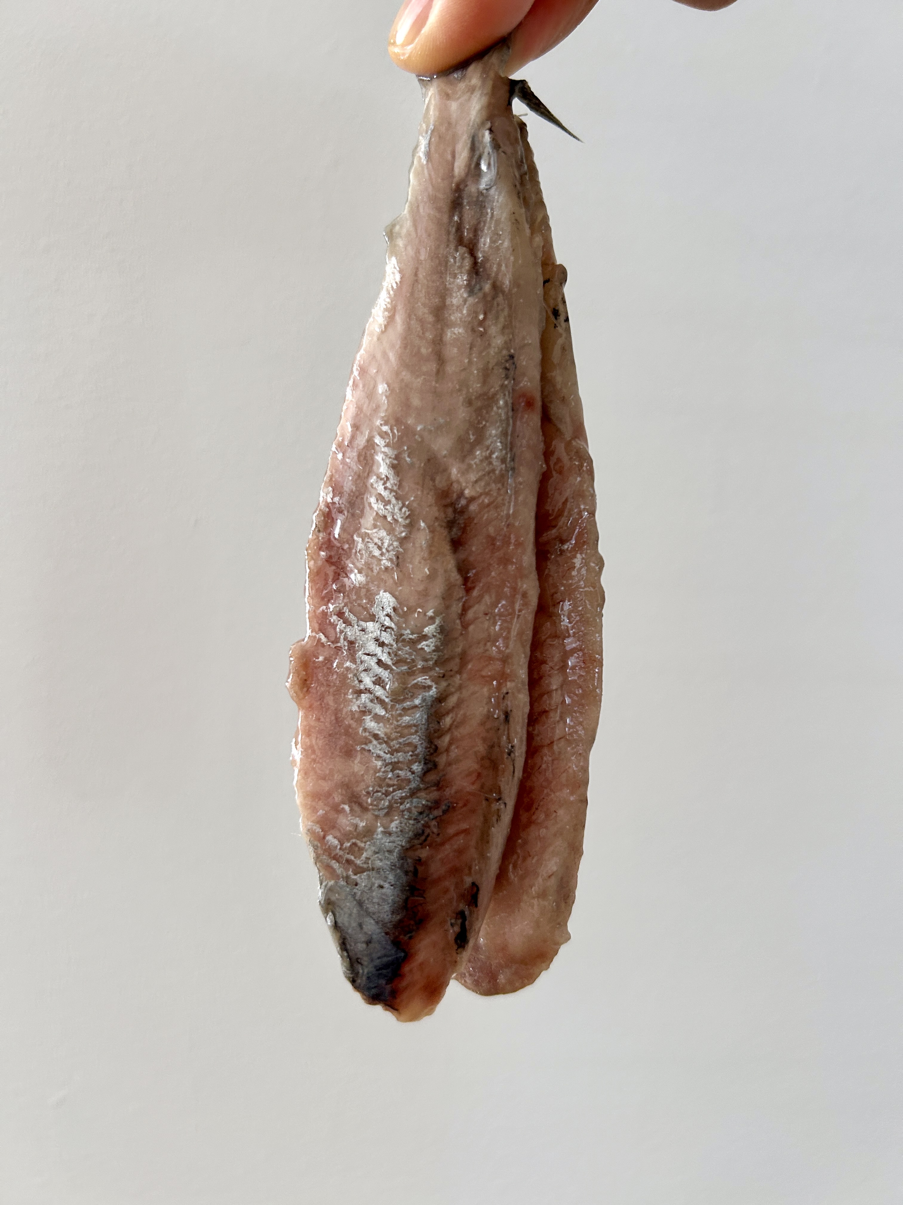 A whole nieuwe haring fillet held by the tail between two fingers against a plain white background.