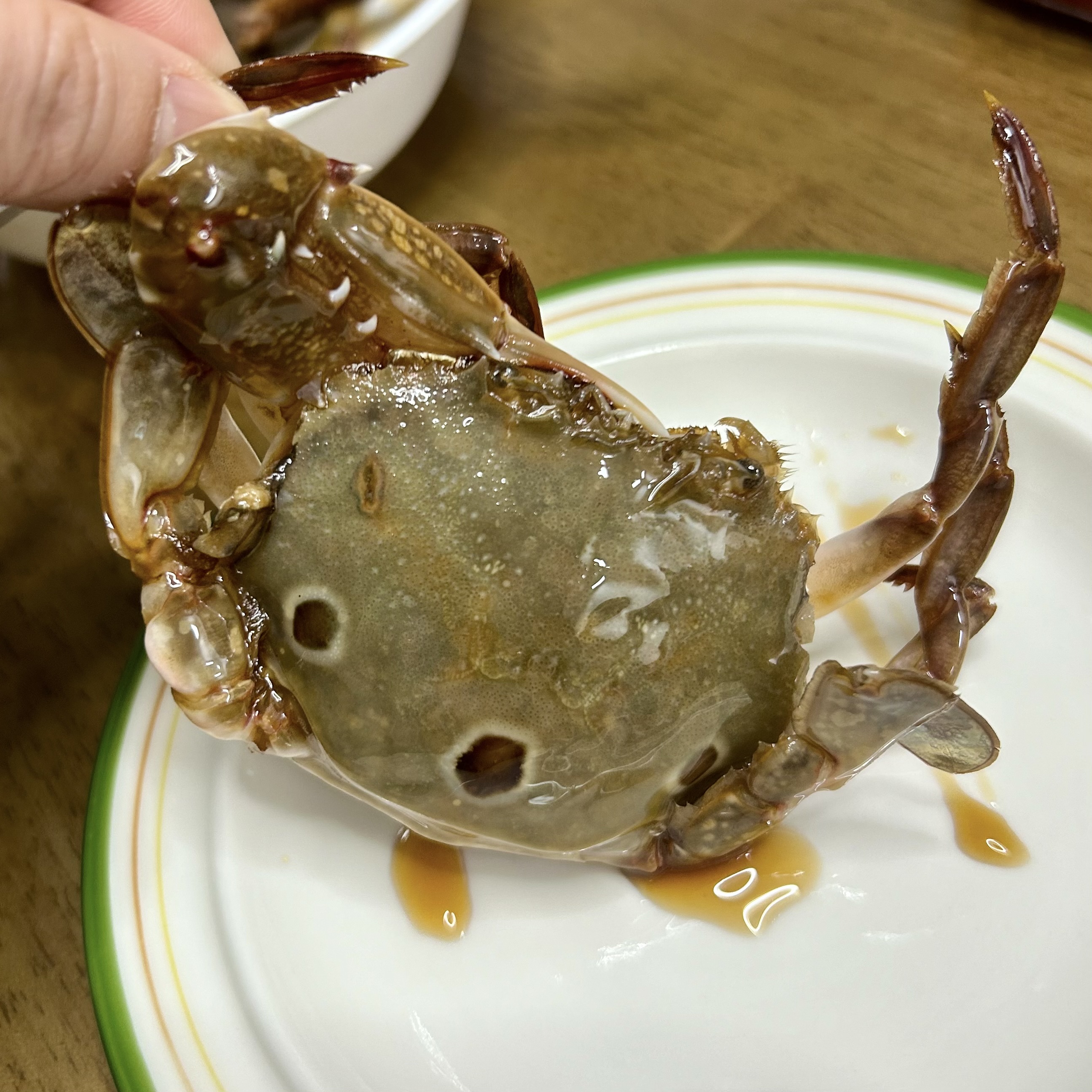 A hand holding a small whole ganjang gejang crab over a plate, soy brine dripping from the shell.