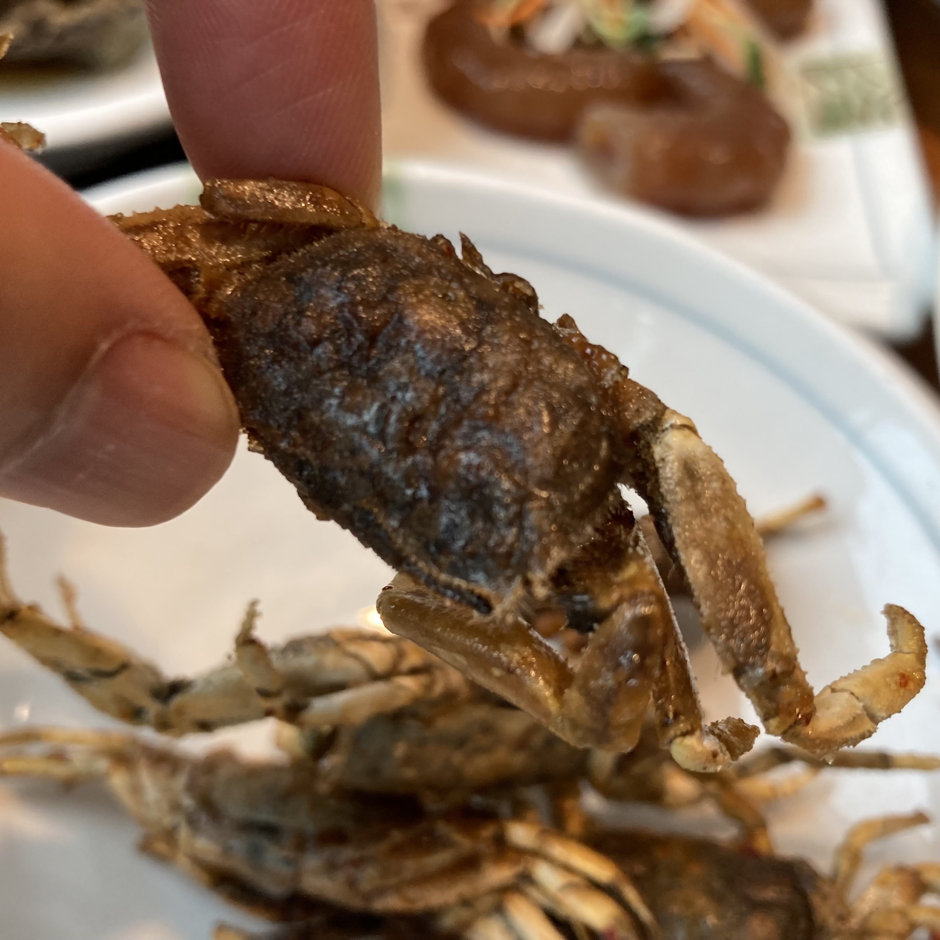 A hand holding a small whole deep-fried shore crab, crispy and dark brown, with more on a white plate below.