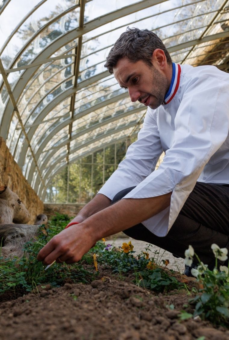 Head chef at the Grand Hotel de Courtoisville in Saint-Malo collecting fresh produce in the vegetable garden.