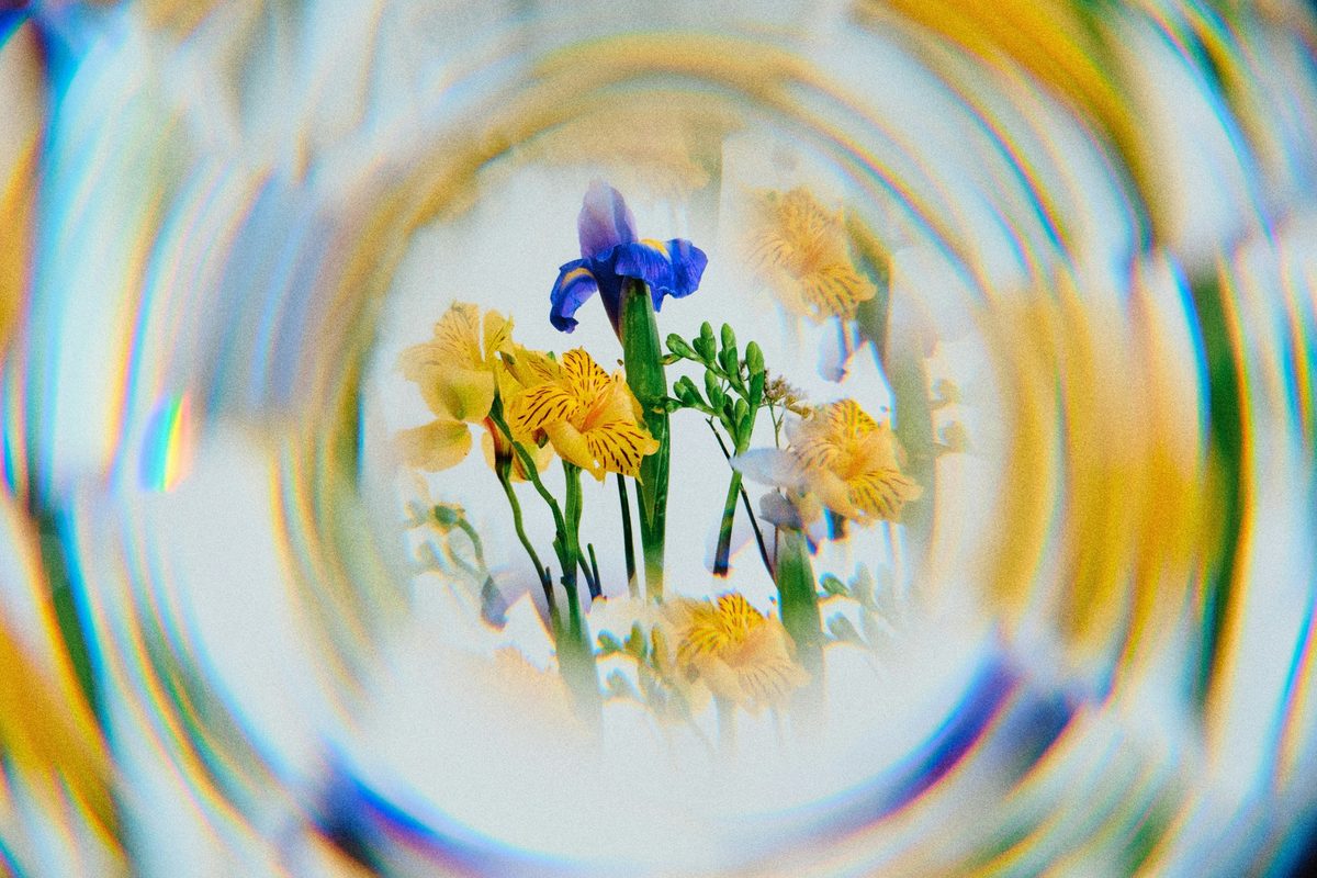 What Is Brand Clarity?