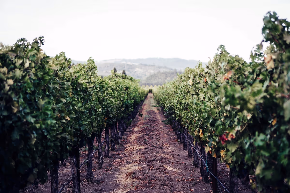 Hire the Best Executive Assistants in Napa