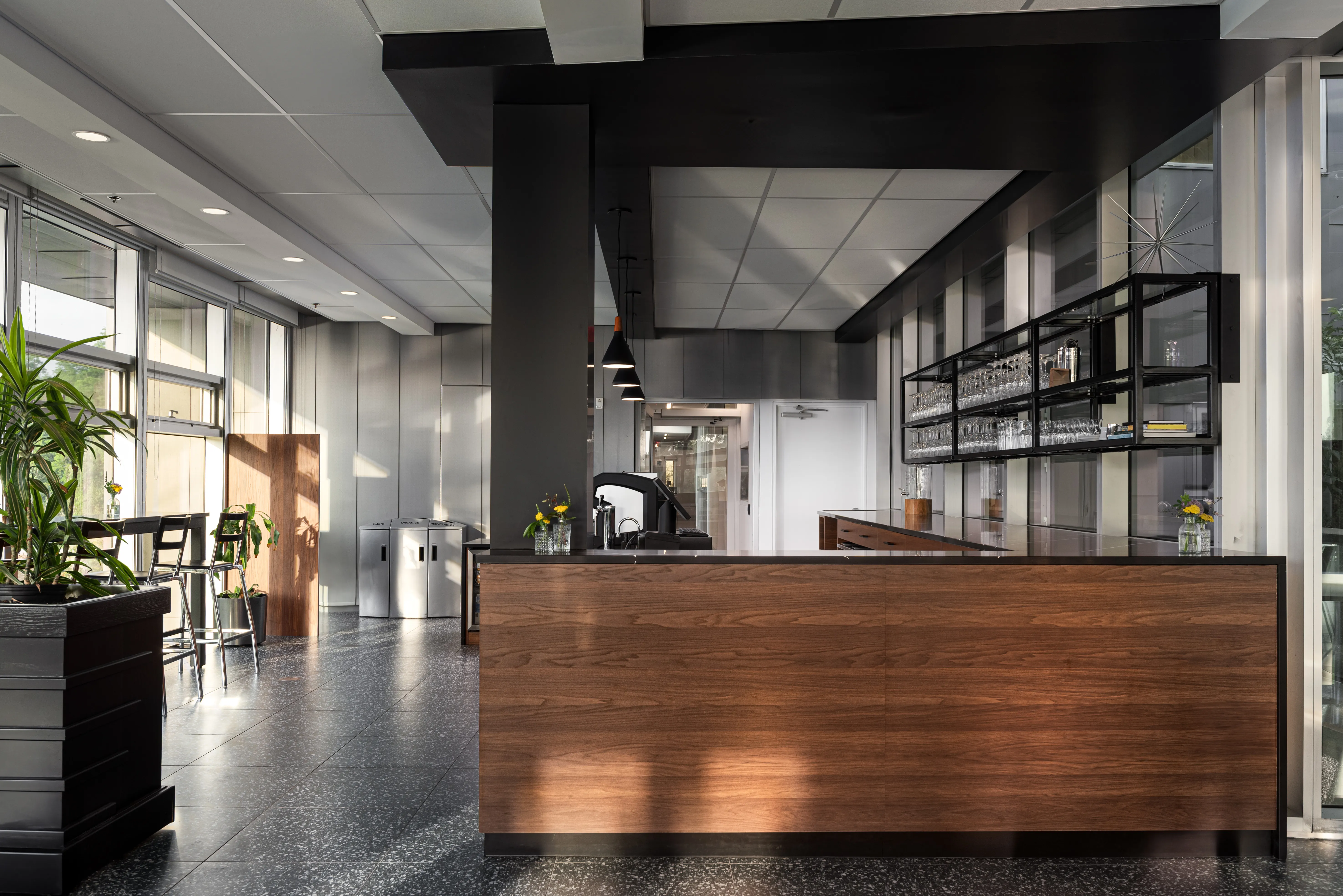 Modern cafe interior with wooden counter, hanging glass shelves, plants, and natural light from large windows.
