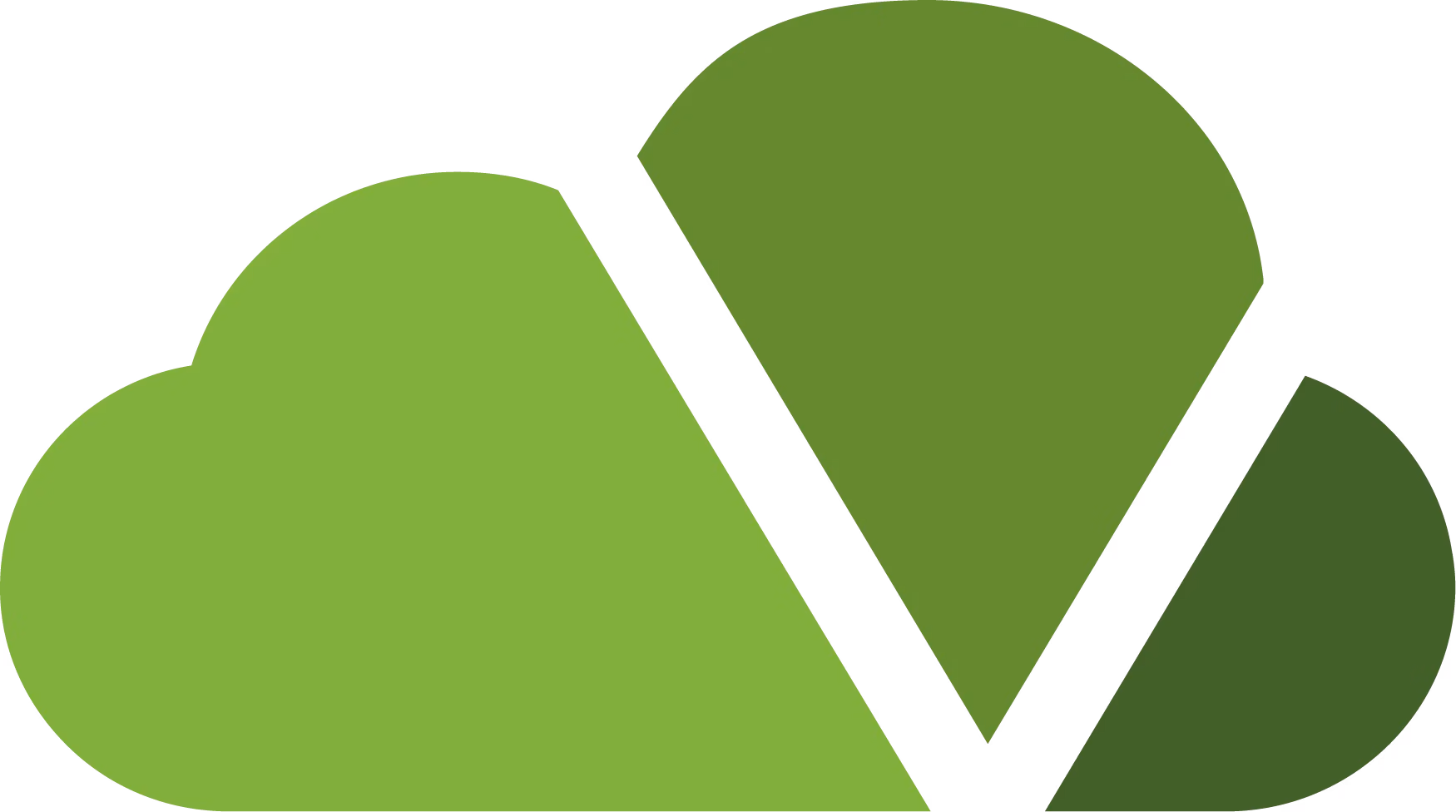 VARIO Cloud Logo - Cloud-ERP für den Handel, eingeführt von go eCommerce
