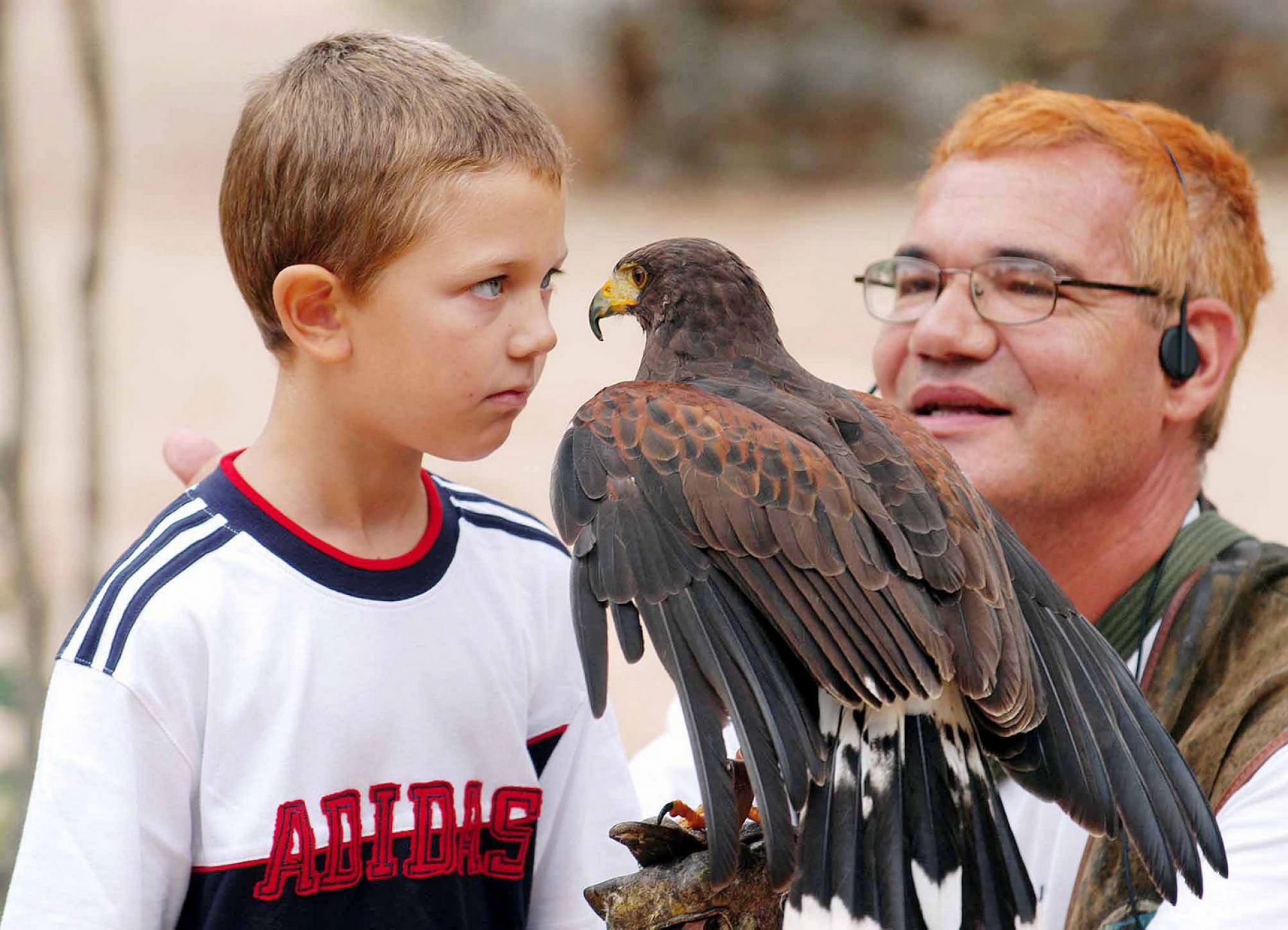 Falconry Center Dubrava