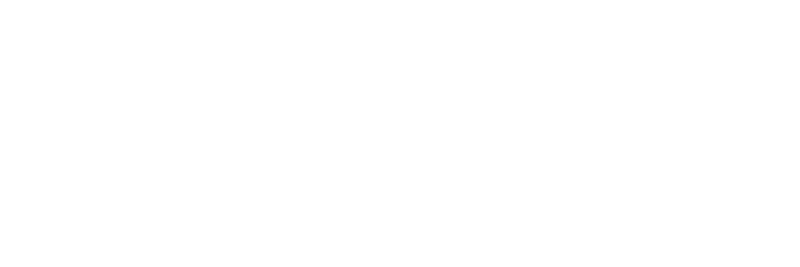 Socket