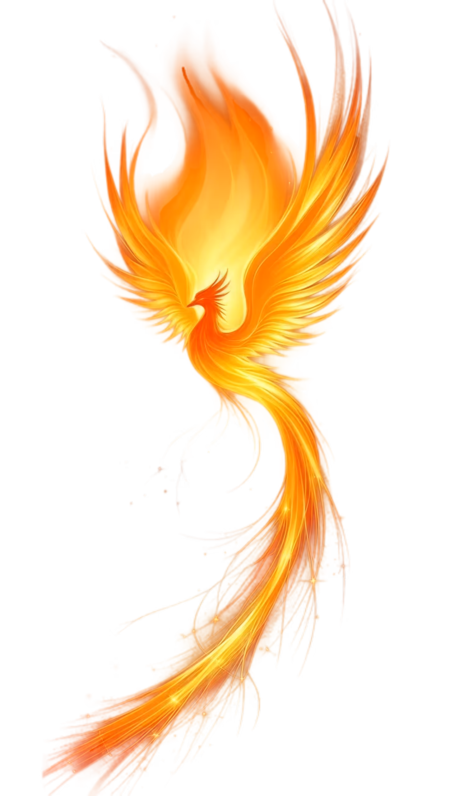 A graphical picture of a Phoenix