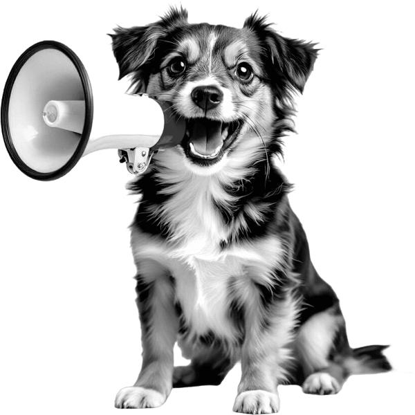 Cute dog with megaphone