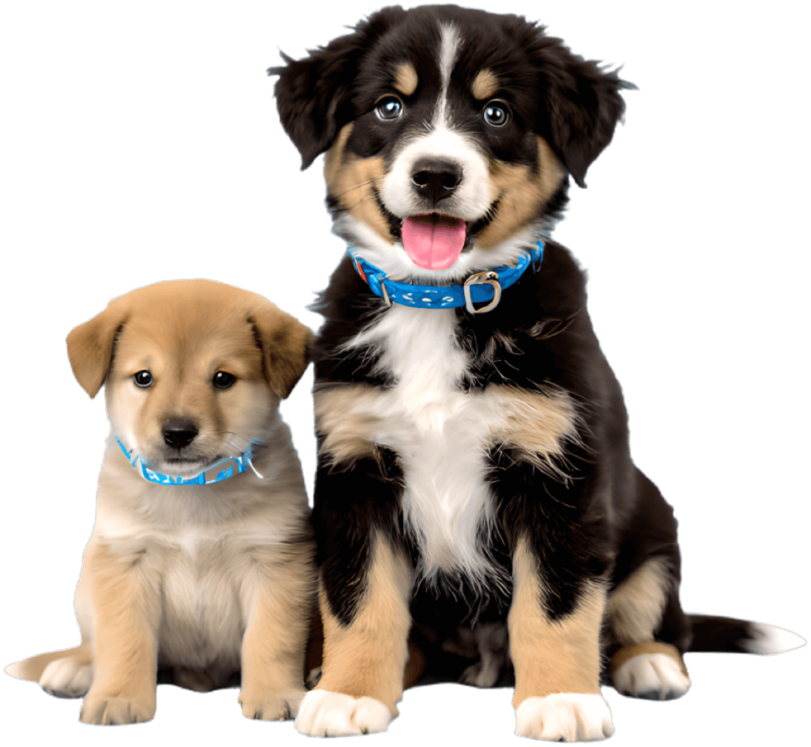 Two cute puppies smiling