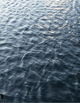 Droit de la consommation et droit bancaire