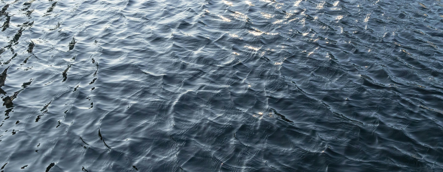 Les compétences de nos avocats