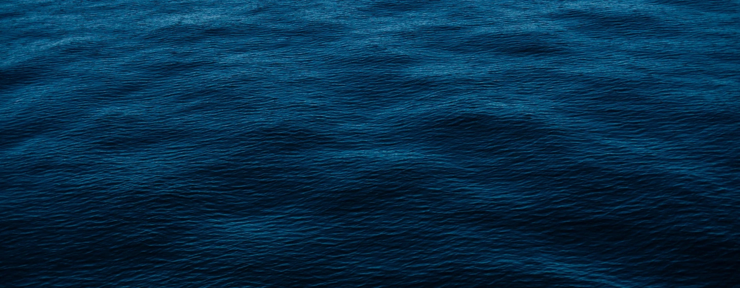 Les compétences de nos avocats