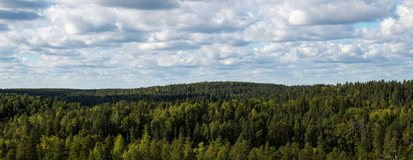 Les compétences de nos avocats