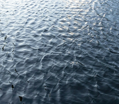 Assurance des professionnels