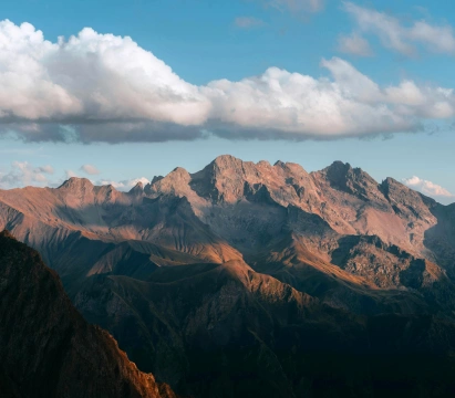 Contrats d’assurance & indemnisation