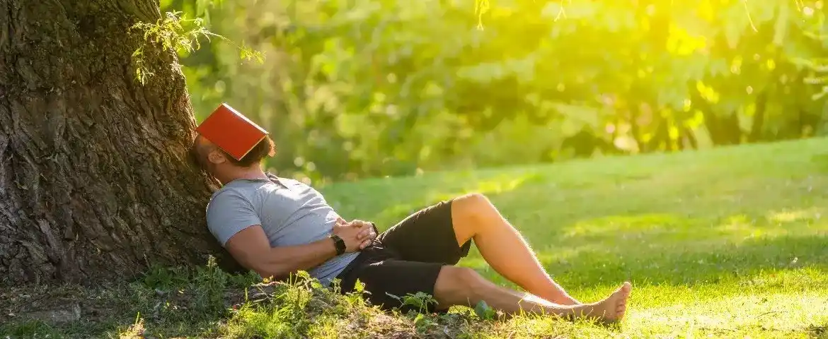 Qu'est-ce que la Slow Life ?