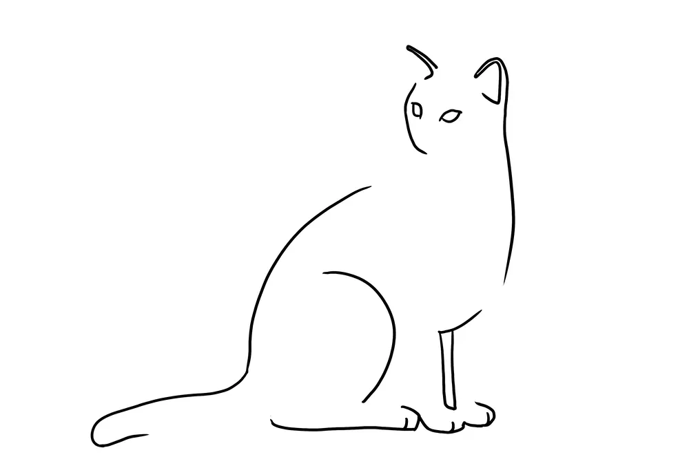 Comment faire un dessin minimaliste ?