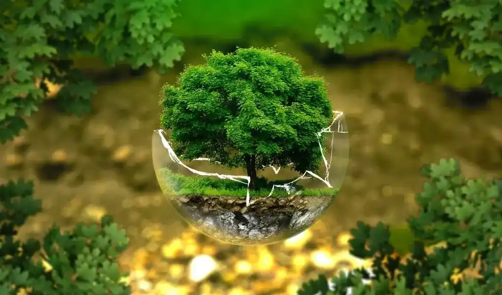 Qu'est-ce que l'économie responsable ?