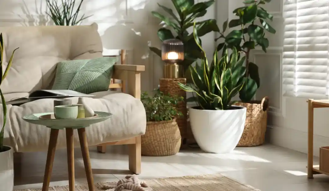 Qu'est-ce que le mode de vie minimaliste ?